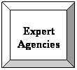 Bevel:  
Expert Agencies
 
